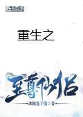 三国志11中文版